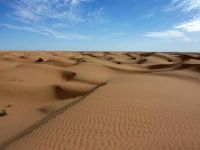 撒哈拉大沙漠历险记 - 小学生想象作文700字