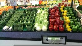 水果和蔬菜的营养价值 - 二年级说明文150字