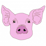 粉色的小猪 - 状物作文800字