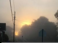 晨雾 - 清晨的美景作文400字