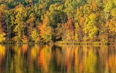 家乡的秋天 - 秋天的景色600字作文
