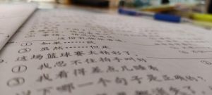 学习英模好榜样，复兴中华我担当 -  我的中国梦作文1000字