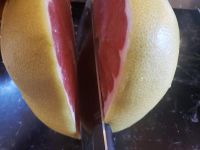 柚子 - 有关柚子的营养价值说明文400字