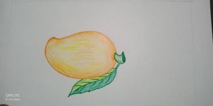 我爱芒果 - 描写水果的作文500字