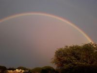 等待，雨后的彩虹 - 围绕风雨的作文800字