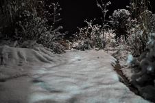 冬夜雪景 - 写景作文550字