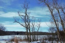 冬天的东湖 - 描写湖景的作文400字