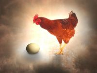 鸡蛋“爱咸”还是“爱甜” - 描写鸡蛋的作文1000字