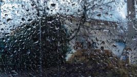 雨天的窗外 - 描写雨景的作文200字
