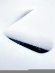 下雪了 - 冬天的雪景作文350字