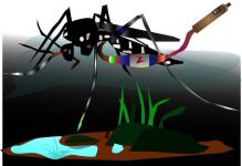 人蚊大战 - 我和蚊子的战争作文1000字
