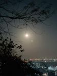 月夜即景 - 美丽的景色作文450字