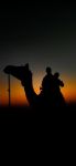 日出日落一般的人生 - 《骆驼祥子》读后感700字