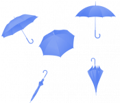 蓝雨伞 - 初二散文1200字