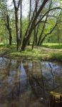 美丽的塘埔村湿地公园 - 写景作文500字