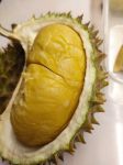 Durian - 榴莲英语作文100字