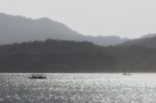 杭州西湖的小船 - 状物作文500字