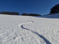 平顶山滑雪 - 周末记事作文400字