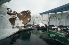 游极地海洋馆