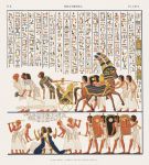 我了解的古埃及文明作文800字