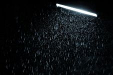 夜雨 - 描写雨景的作文800字
