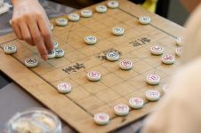 中国象棋 - 优秀说明文300字