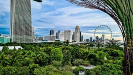 新加坡滨海湾花园 - 描写花园的作文800字