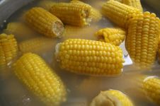 美味的松籽玉米 - 关于食物的作文400字