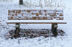 堤角公园的冬天 - 冬天的公园作文500字