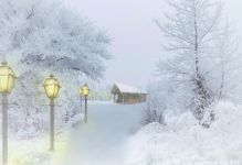 我最喜欢的季节“冬季” - 描写冬天的作文600字