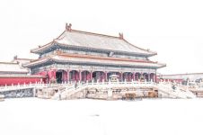 北京下雪啦 - 写景作文300字示例
