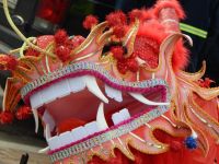 中国传统节日重阳节 - 关于节日的作文500字