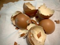 巧辨生熟鸡蛋