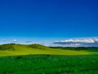 美丽的乌兰布统大草原