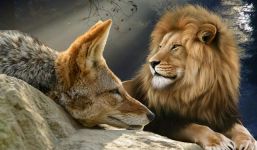 狮子和狐狸作文