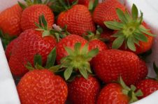 甜甜的草莓 - 描写水果的作文200字