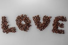 可爱的“咖啡豆” - 状物作文600字