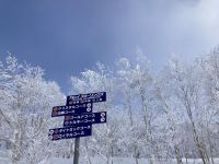 北海道的雪作文600字