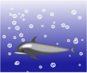 动物名片——海豚