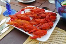 吃货记—螃蟹篇