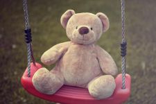 可爱的泰迪熊 - 我的玩具作文50字