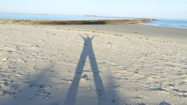 影子在沙子上漫步 - 读马克·李维《偷影子的人》有感800字